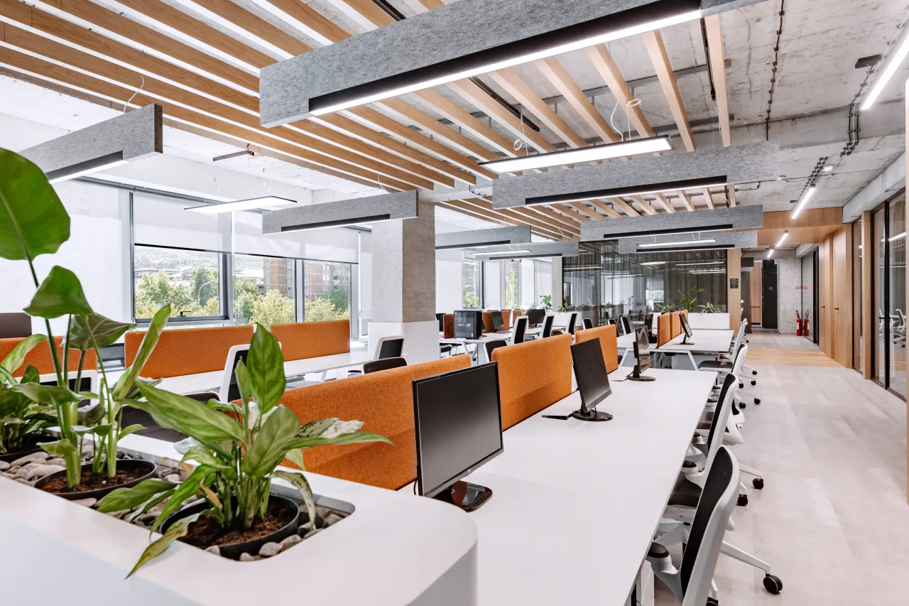 Green planting in a white planter in front of the open desks
